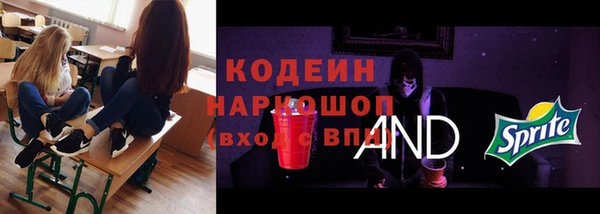 прущие крисы Бородино