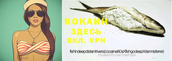 прущие крисы Бородино