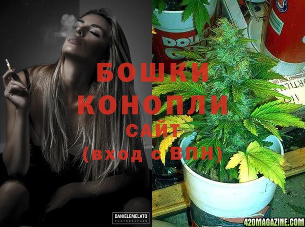 прущие крисы Бородино