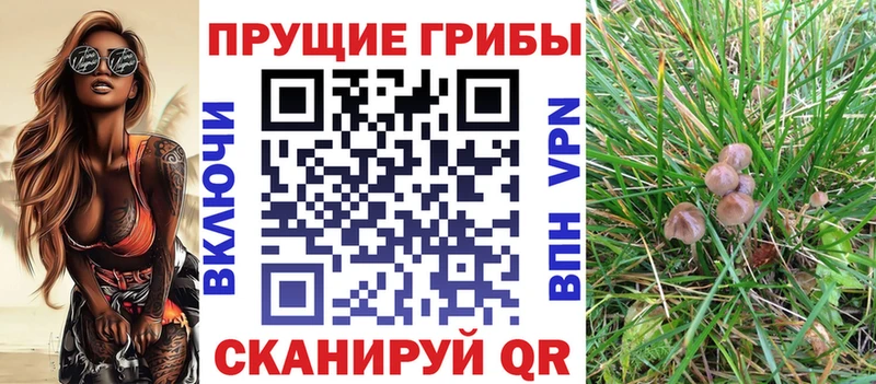 Галлюциногенные грибы мухоморы  Балашиха 